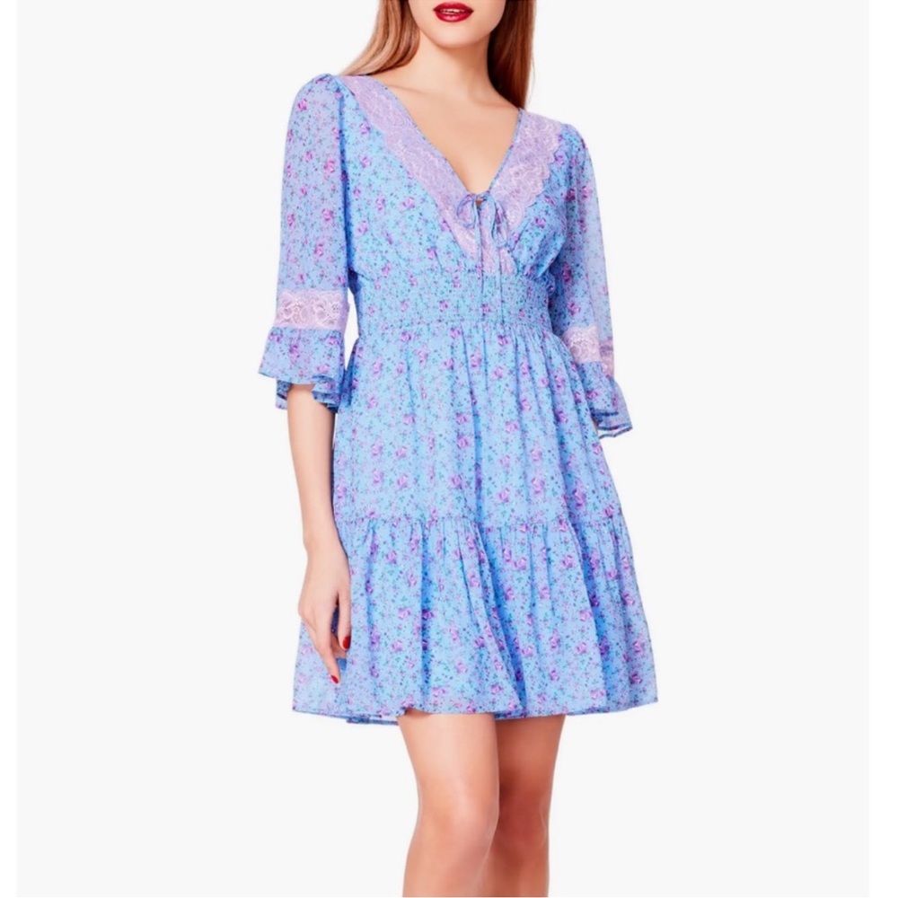 NEW NWT Betsey Johnson Fleur Printed Georgette Silverlake Dress